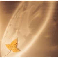 Фотожалюзи Арт 08