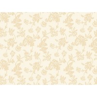 Рулонные шторы Versal 01 cream