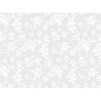 Рулонные шторы Versal 05 white
