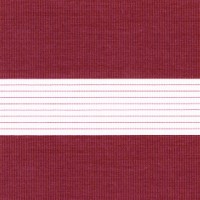 Зебра стандарт 4453